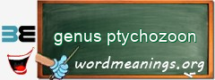 WordMeaning blackboard for genus ptychozoon